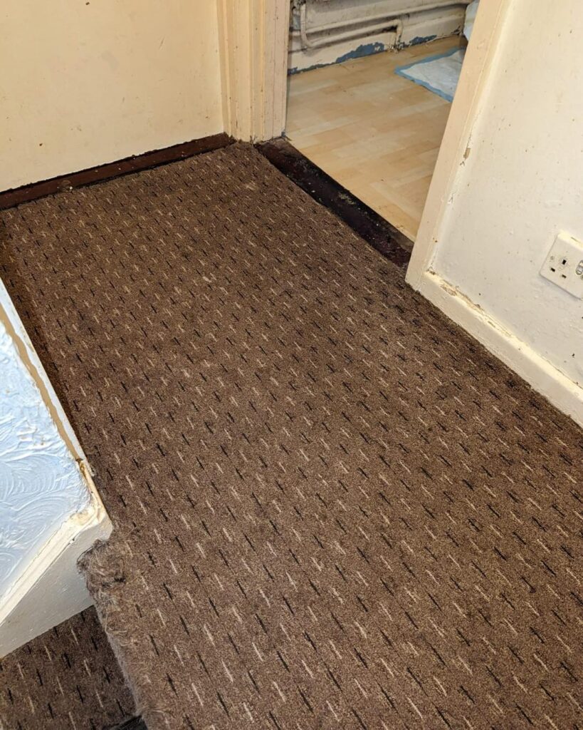 481959413_1179388807522674_6322106376470342499_n