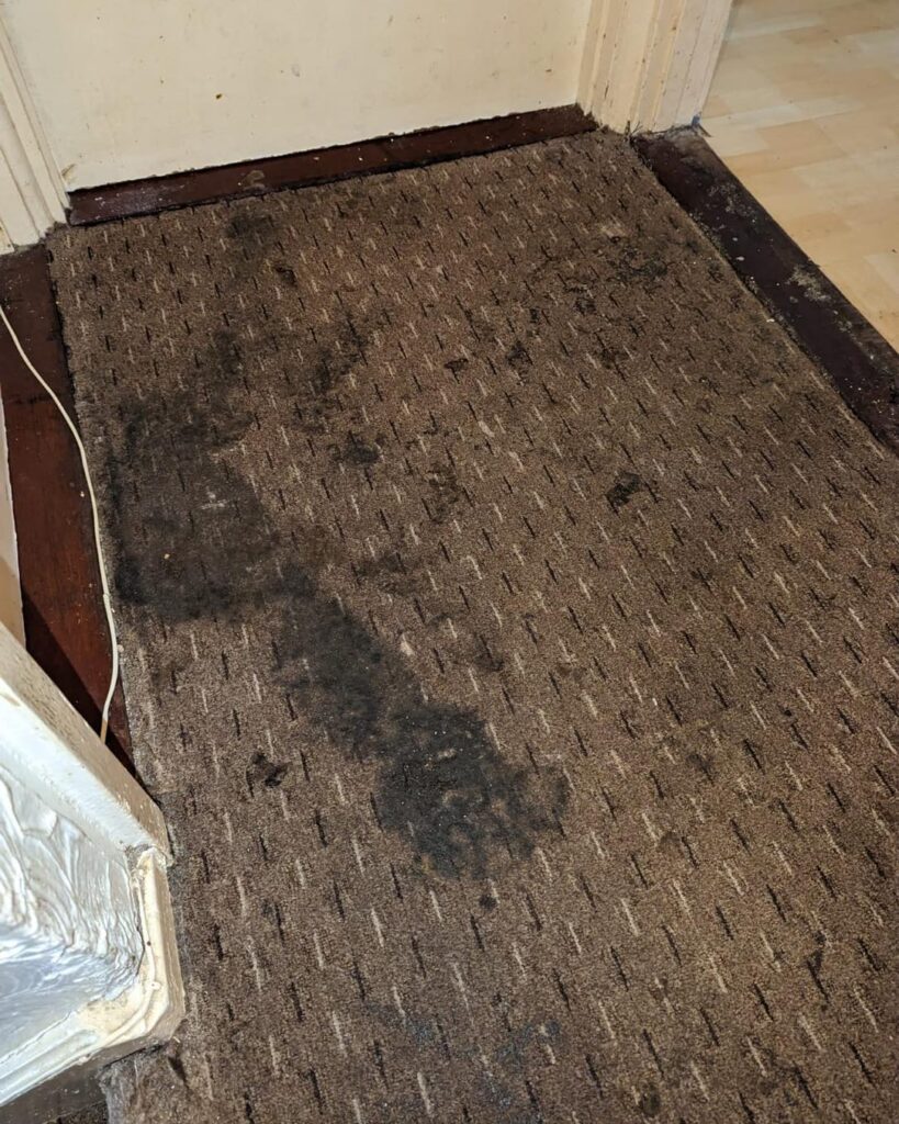 482007589_1179388964189325_8803848753299108429_n