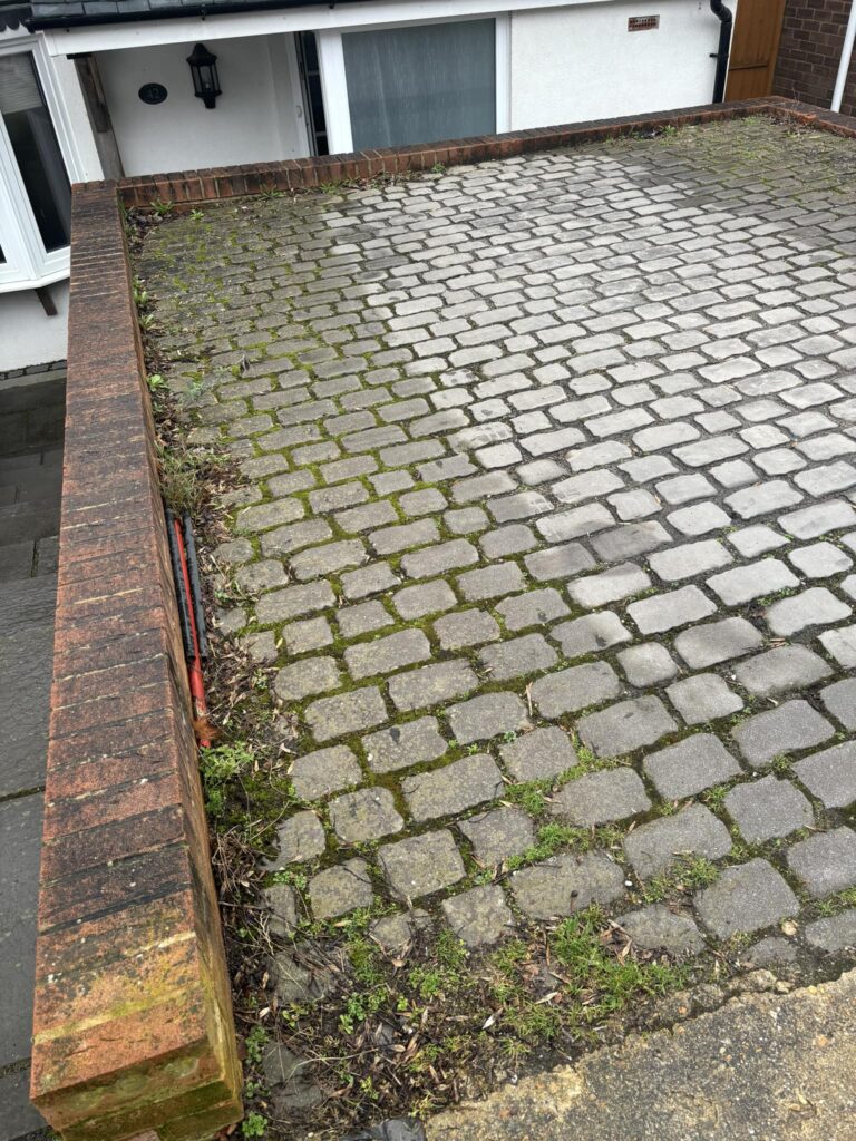 490919918_1216929227101965_5824291555959531784_n