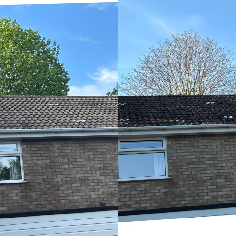 492534913_1225895272872027_7281746104470921498_n