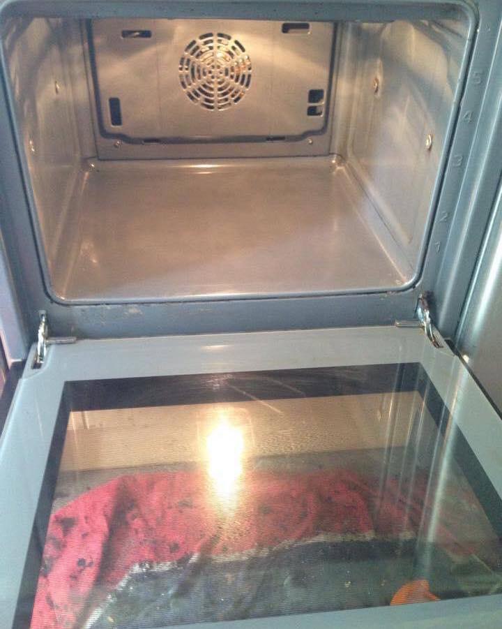 494477379_1232012712260283_4470111211660465780_n