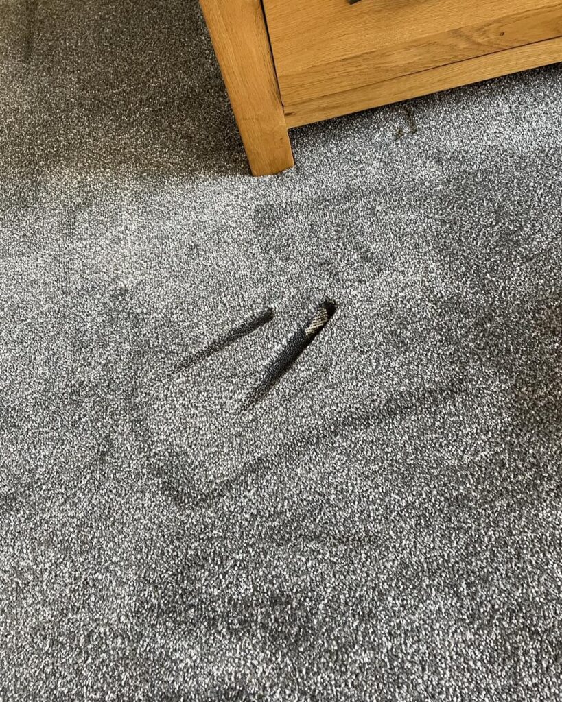 494712026_1232543758873845_1205996780756161894_n