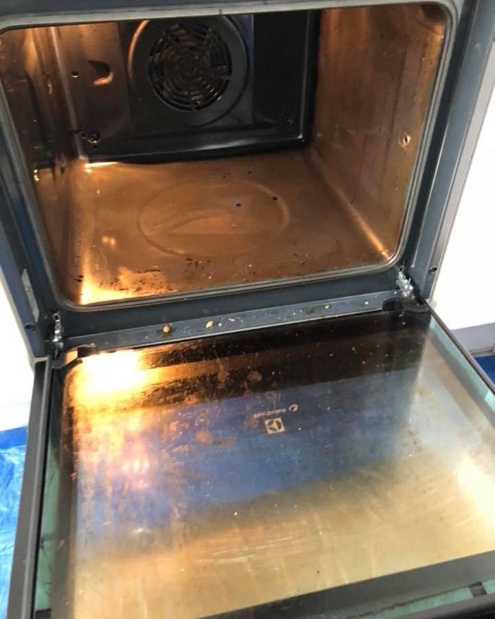 495001925_1232013095593578_6507369423493204517_n