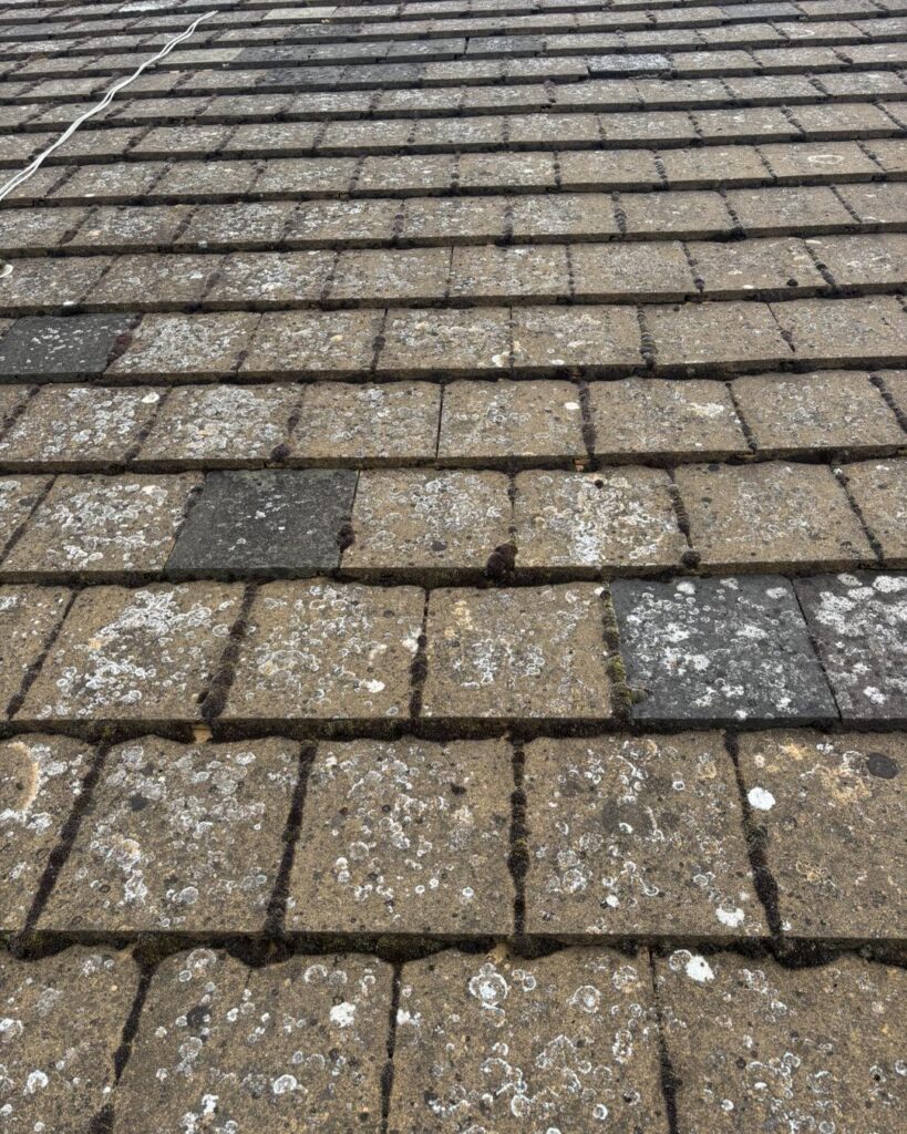 500228565_1251841766944044_8465708927604241029_n